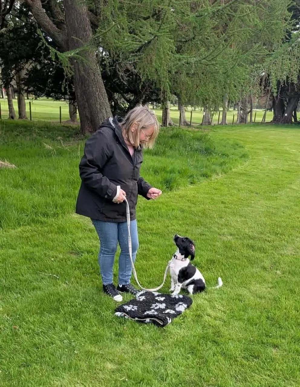 Tom working through a training exercise with a small dog outdoors