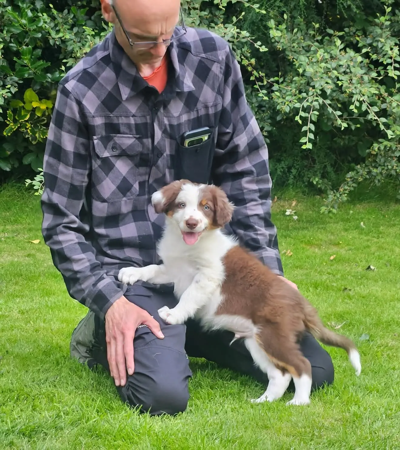 A dog holding a steady sit during an outdoor training session