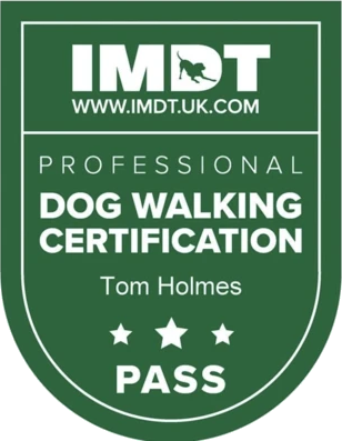 IMDT Professional Dog Walking Certification awarded to Tom Holmes