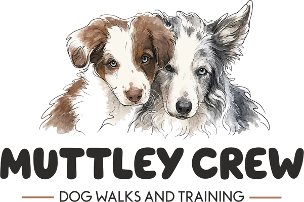 Muttley Crew Dog Walks and Training logo